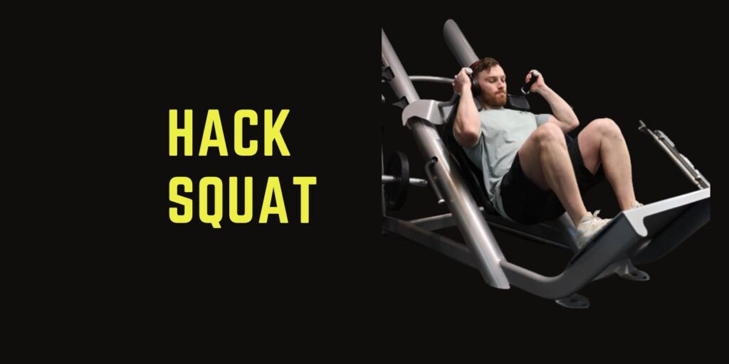 Alternative to leg press alternative to hack squat