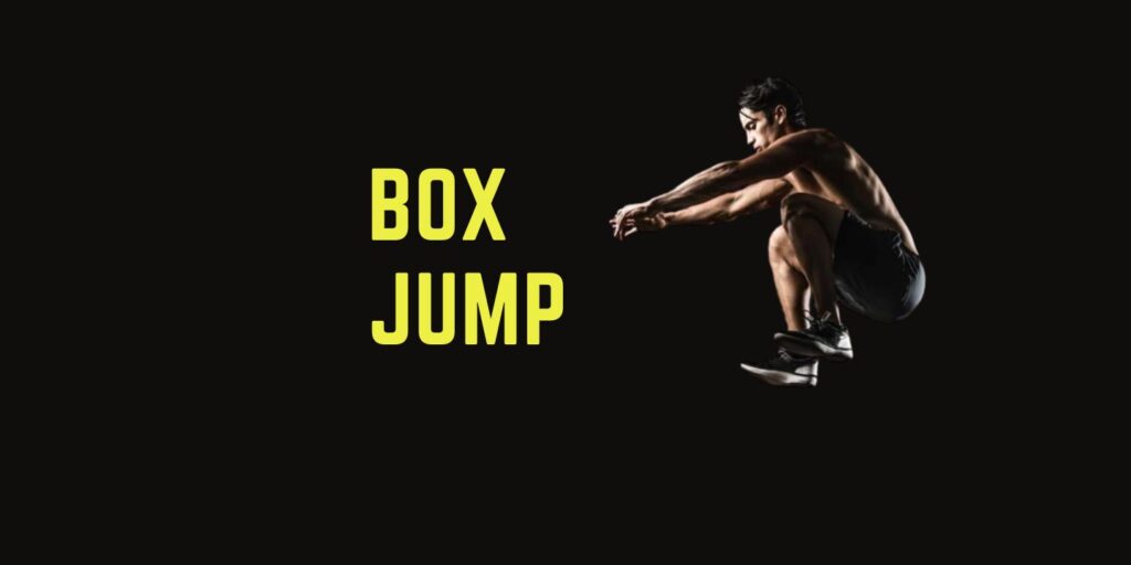 alternatives to leg press alternative to box jumps