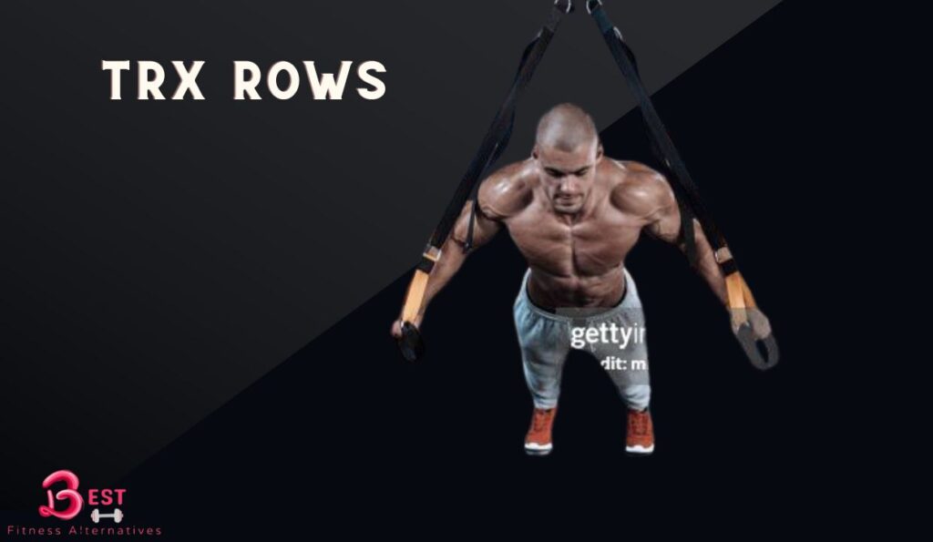 Best Seated Cable Row Alternatives 