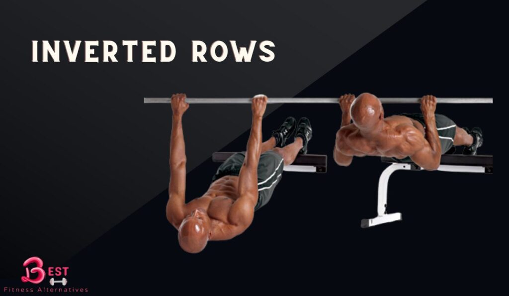 Best Seated Cable Row Alternatives 