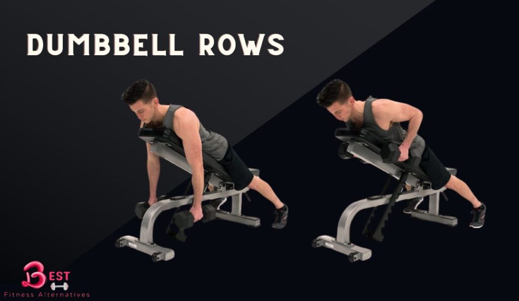 Best Seated Cable Row Alternatives 