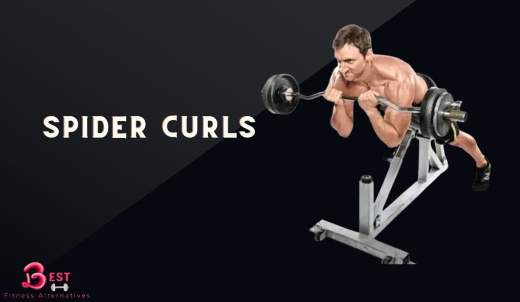 Considerable Alternatives to Preacher Curls