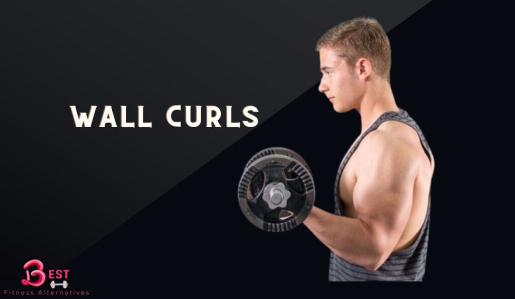 Considerable Alternatives to Preacher Curls